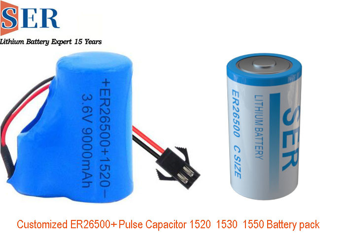 3.6v Lityum Pil Paketi ER26500, 1550 Darbe Kapasitörlü ER26500 + HPC1550, İnternet İçin